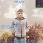 o madhu artwork
