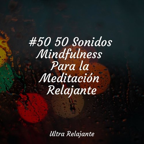 #50 50 Sonidos Mindfulness Para la Meditación Relajante