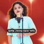 Aaji Sonar Moyna Pakhi