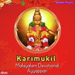 Karimukil