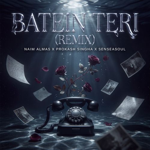 Batein Teri (Remix)