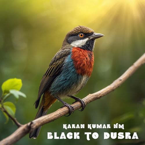 Black To Dusra
