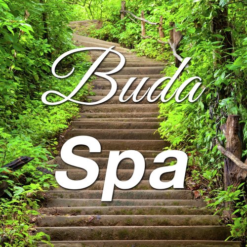 Buda Spa: Música Relajante Tranquila diseñada para Calmar las Emociones en un Centro de Salud o en el Spa con Música Instrumental y Ambiental para Pacificar sus Vida con Sonidos de la Naturaleza como la Lluvia, el Viento y las Olas del Océano