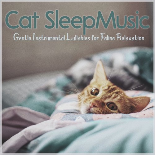 Cat Relaxation Music