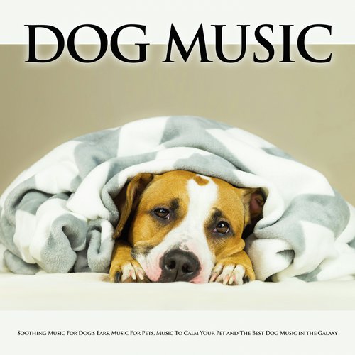 Dog Music cover art