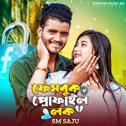 Facebook profile Lock