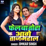 Fel Ba Tora Aage Tajmahal