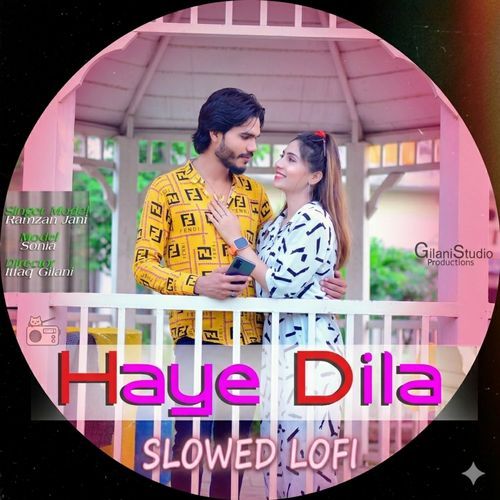 Haye Dilla Slowed Loofi