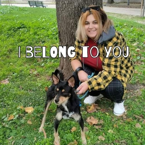 I Belong To You_poster_image