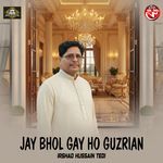 Jay Bhol Gay Ho Guzrian