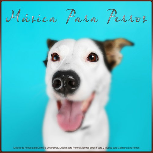 Música Para Perros cover art