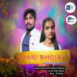 Mari Bhojayi Banjara Dj Song