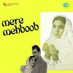 Mere Mehboob Tujhe Meri Muhabbat (Male)