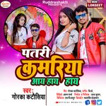 PATRI KAMARIYA TOHAR AAI HAI HAI (Bhojpuri)