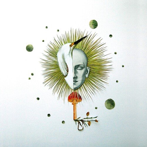 Figure in the Field cover art
