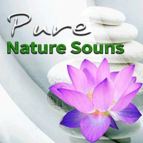 Healing Yoga Meditation cover art