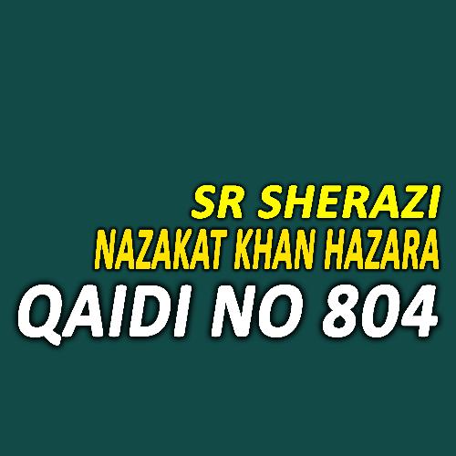 Qaidi No 804