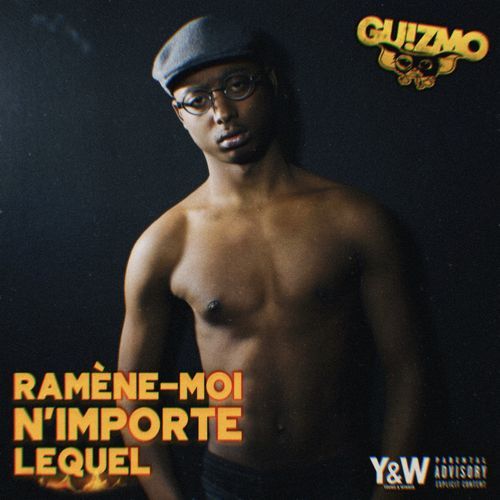 Ramène-moi n'importe lequel_poster_image