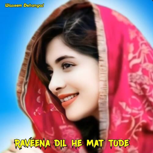 Raveena Dil He Mat Tode cover art