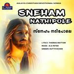 Sneham Nathipole