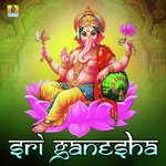 Ganesh Mahamantra 108 Naam