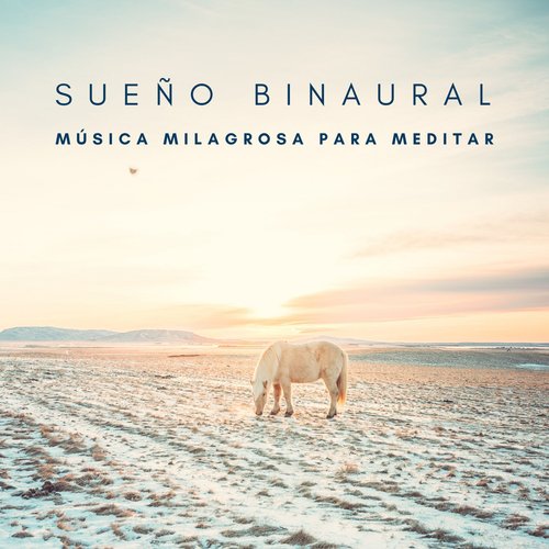 Sueño Binaural: Música Milagrosa Para Meditar