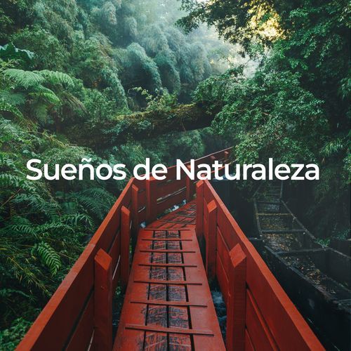 Sueños de Naturaleza: Relajación y Descanso_poster_image