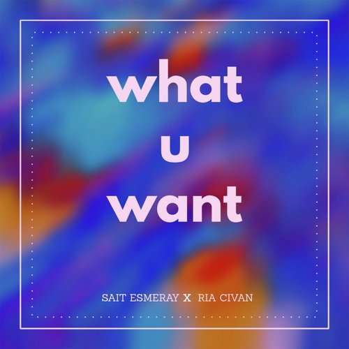 What U Want_poster_image