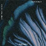 You Don't Have To Go