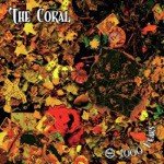 The Coral