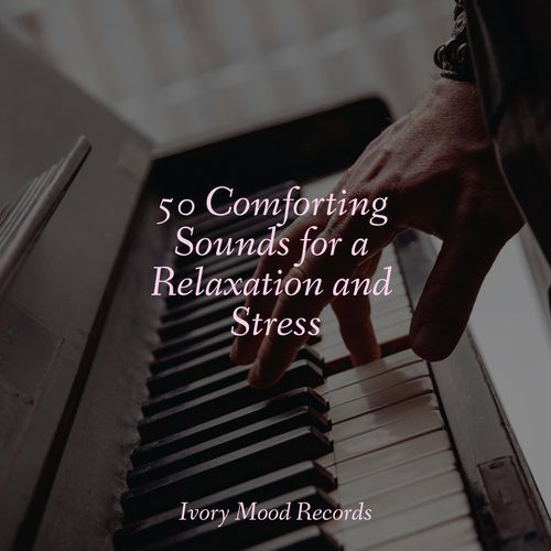 50 Comforting Sounds for a Relaxation and Stress_poster_image