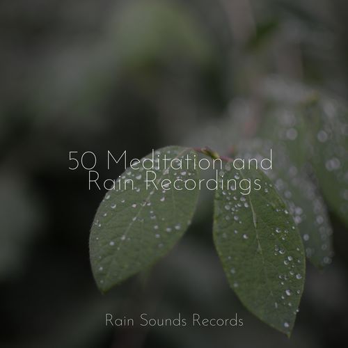 50 Meditation and Rain Recordings