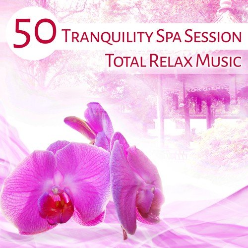 50 Tranquility Spa Session: Total Relax Music, Calming Evening Meditation, Stress Relief Sleeping Music
