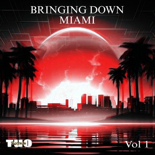 Bringing Down Miami, Vol.1_poster_image