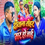 Deewana Tohar Mar Jai