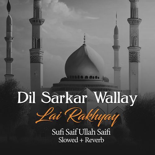 Dil Sarkar Wallay Lai Rakhyay (Lofi-Mix)