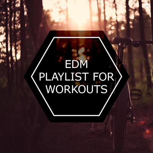 EDM For Workouts