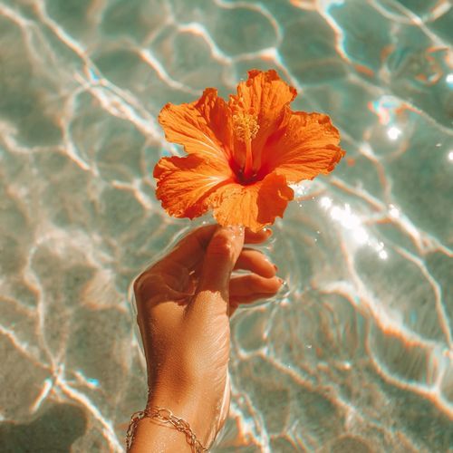 Dance Through the Summer