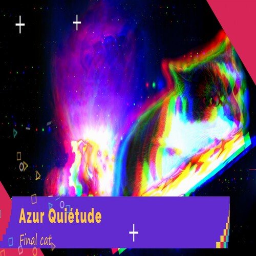 Piano Cat's cover art
