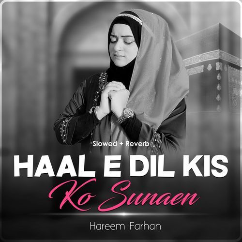 Haal e Dil kis ko Sunaen (Lofi-Mix)
