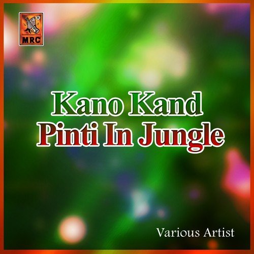 Kano Kand Pinti In Jungle