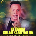 Ki Karna Sulah Safaiyan Da
