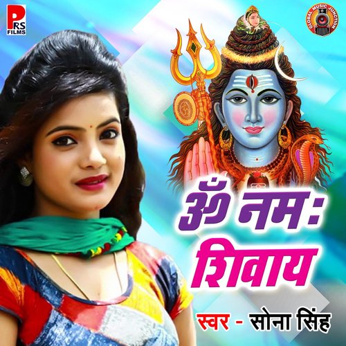 Om Namah Shivay_poster_image