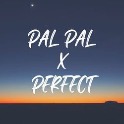 Pal Pal x Perfect