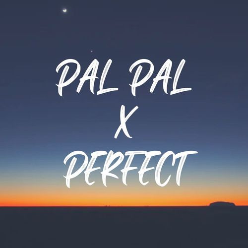 Pal Pal x Perfect