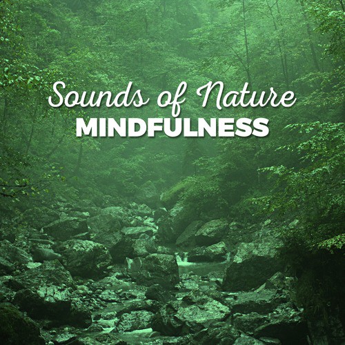 Peaceful Natural Soundscapes
