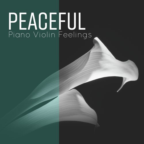 Peaceful Piano Violin Feelings - Classical Ambient Instrumentals