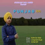 Punjab 300