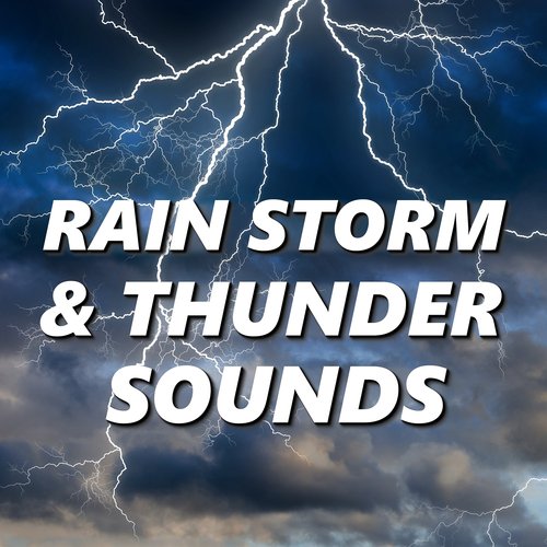 Thunder Storms & Rain Sounds cover art