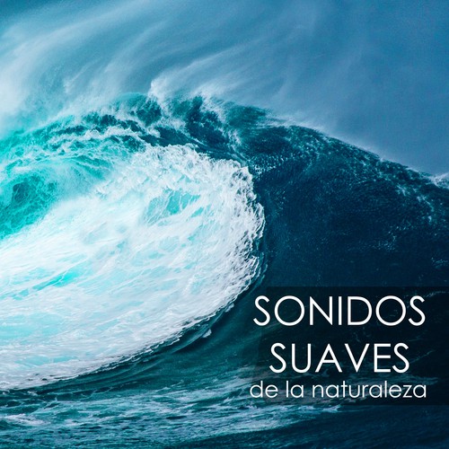 Olas del Mar cover art